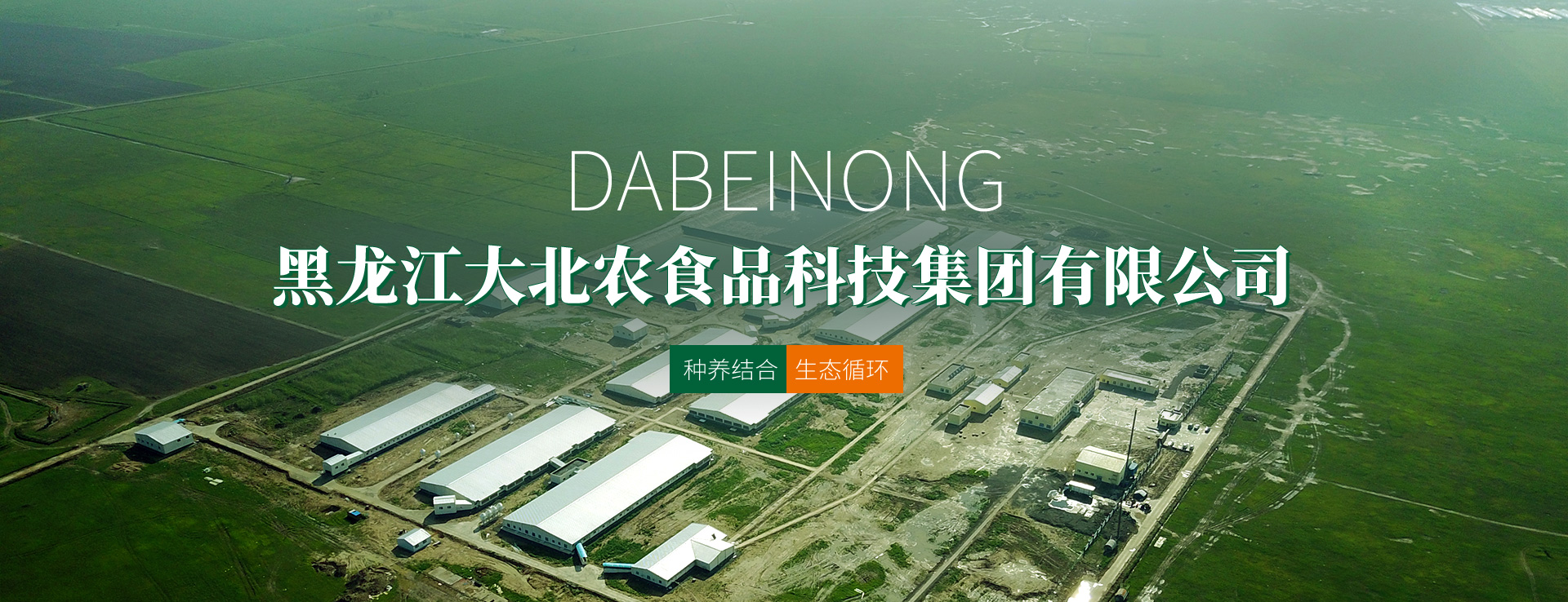 AG����(�й�)���ֹ���