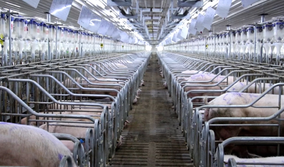 ������ҵ