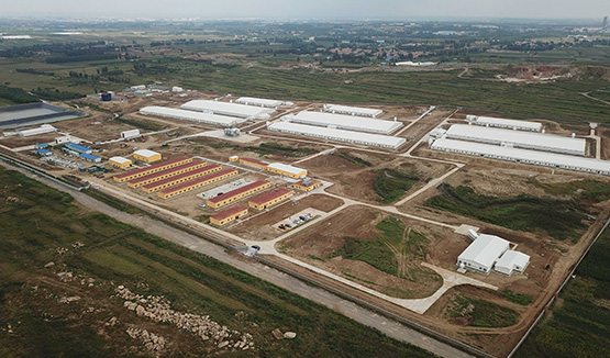 ɽ������